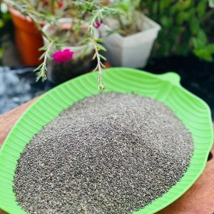 চিয়া সিড (Chia Seed)