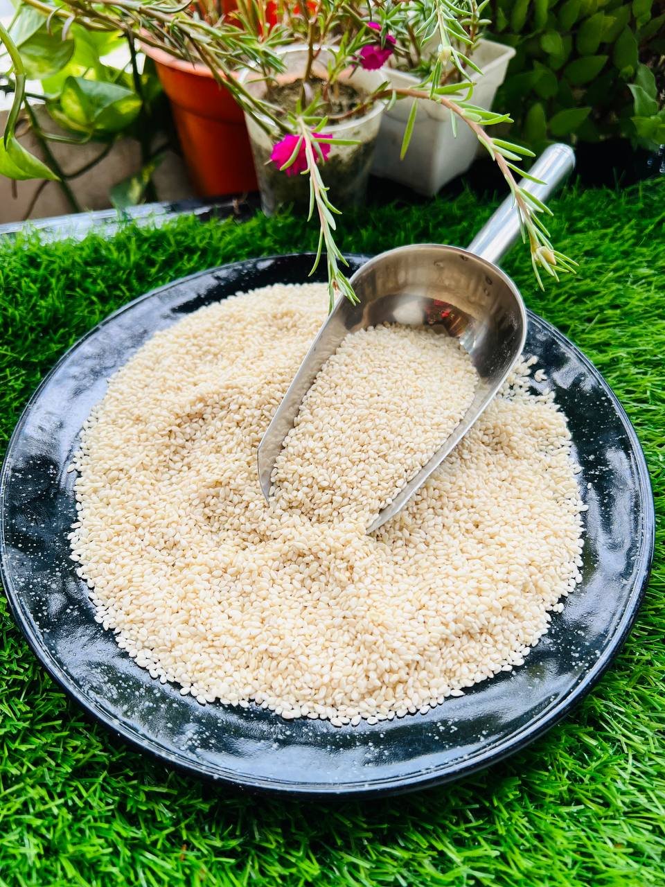 সাদা তিল